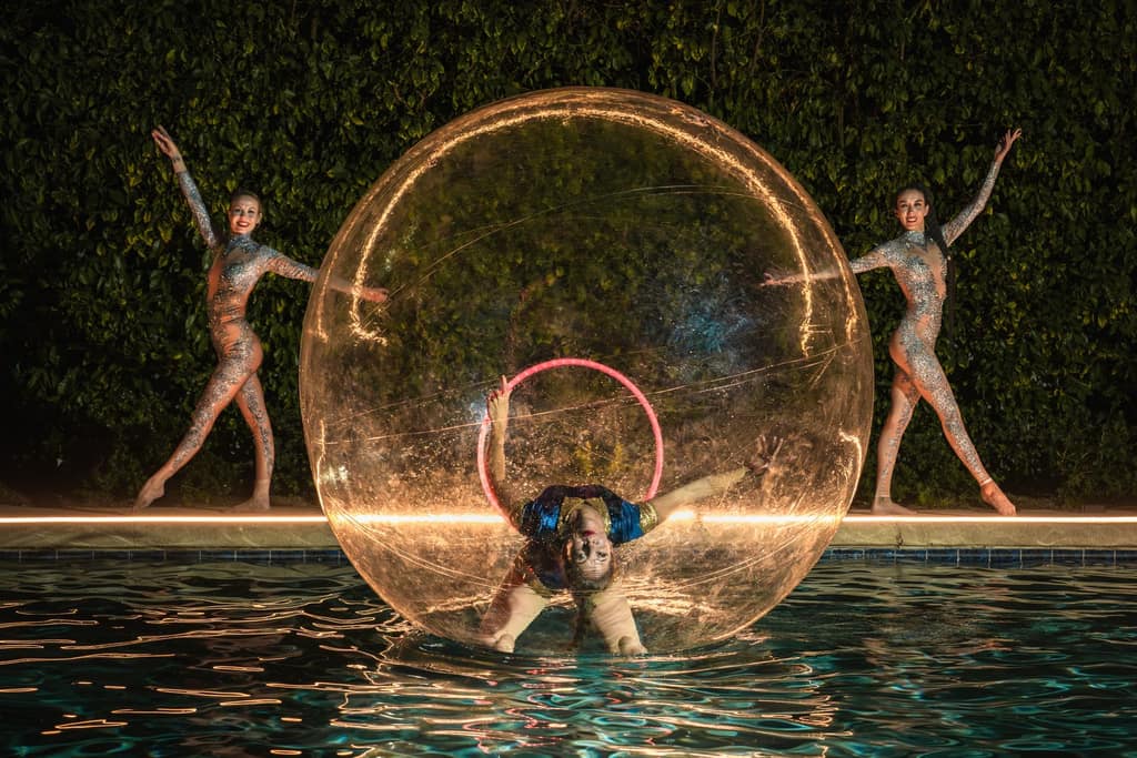 A Storybook Entertainment celebration