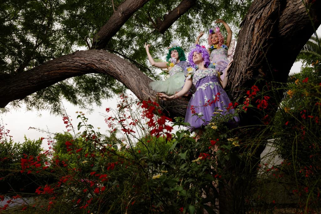 Pirates & Fairies — Storybook Entertainment
