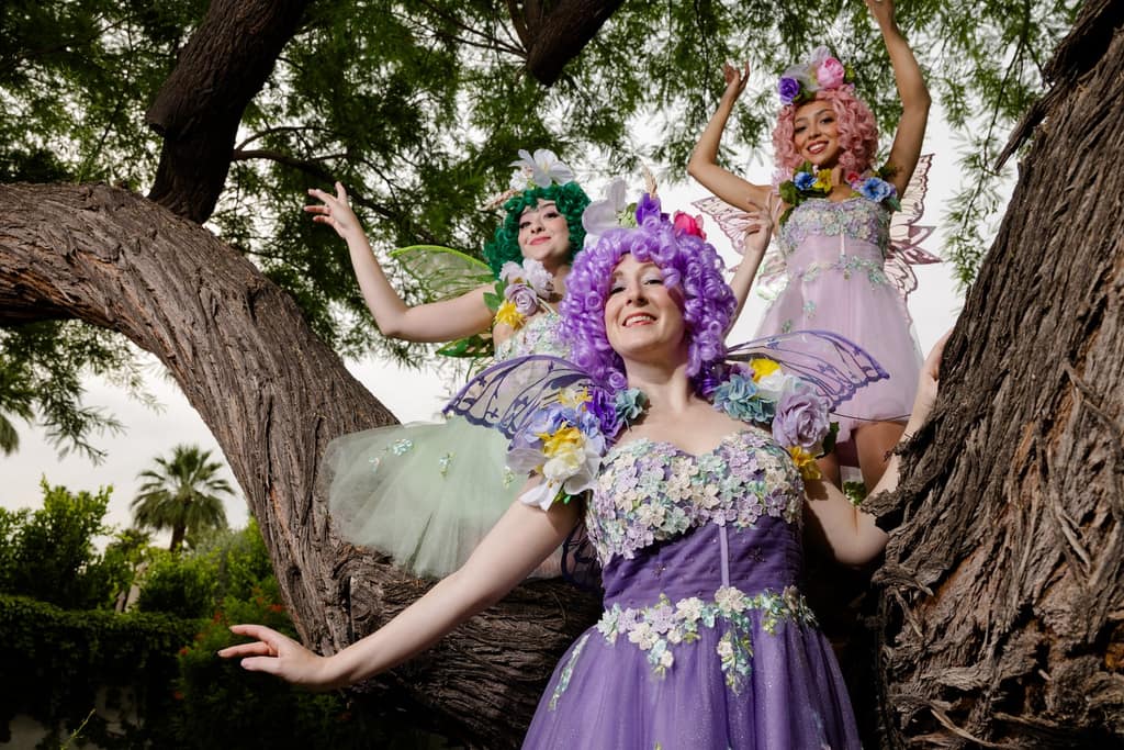 Pirates & Fairies — Storybook Entertainment