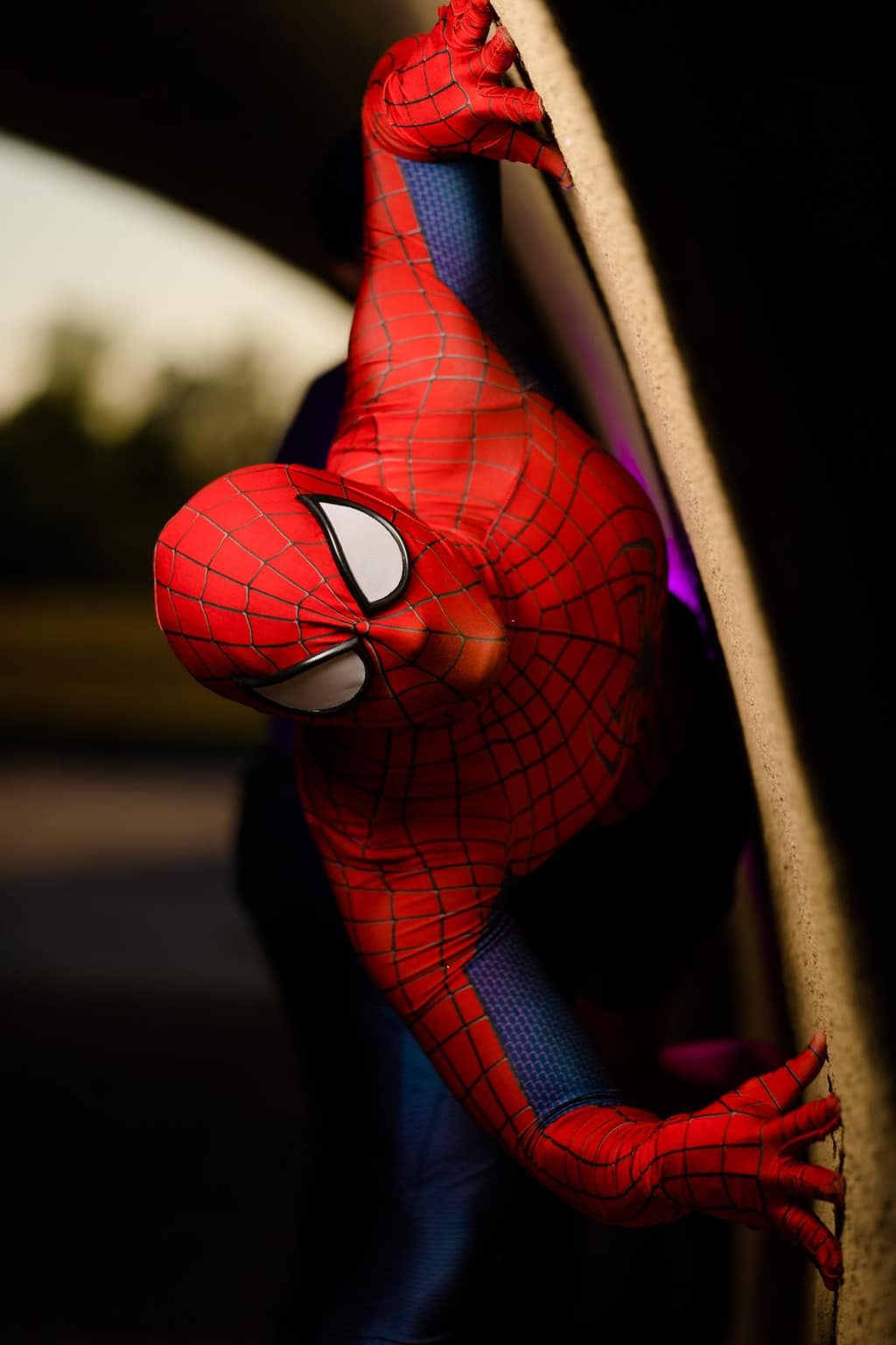 Superheroes — Storybook Entertainment