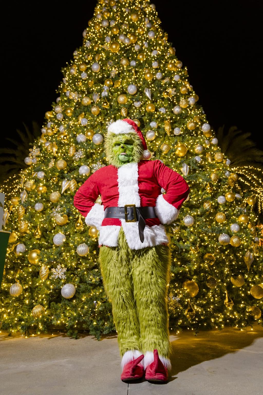 Holiday Characters — Storybook Entertainment